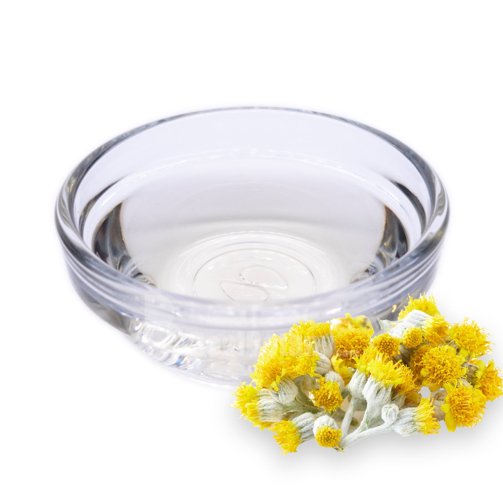 Helichrysum (Imm/Ever) Therapeutic Hydrosol Organic Alcohol Free