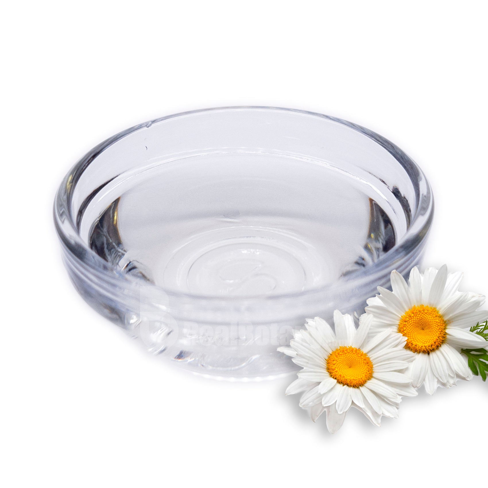 Roman Chamomile Therapeutic Hydrosol Organic Alcohol Free