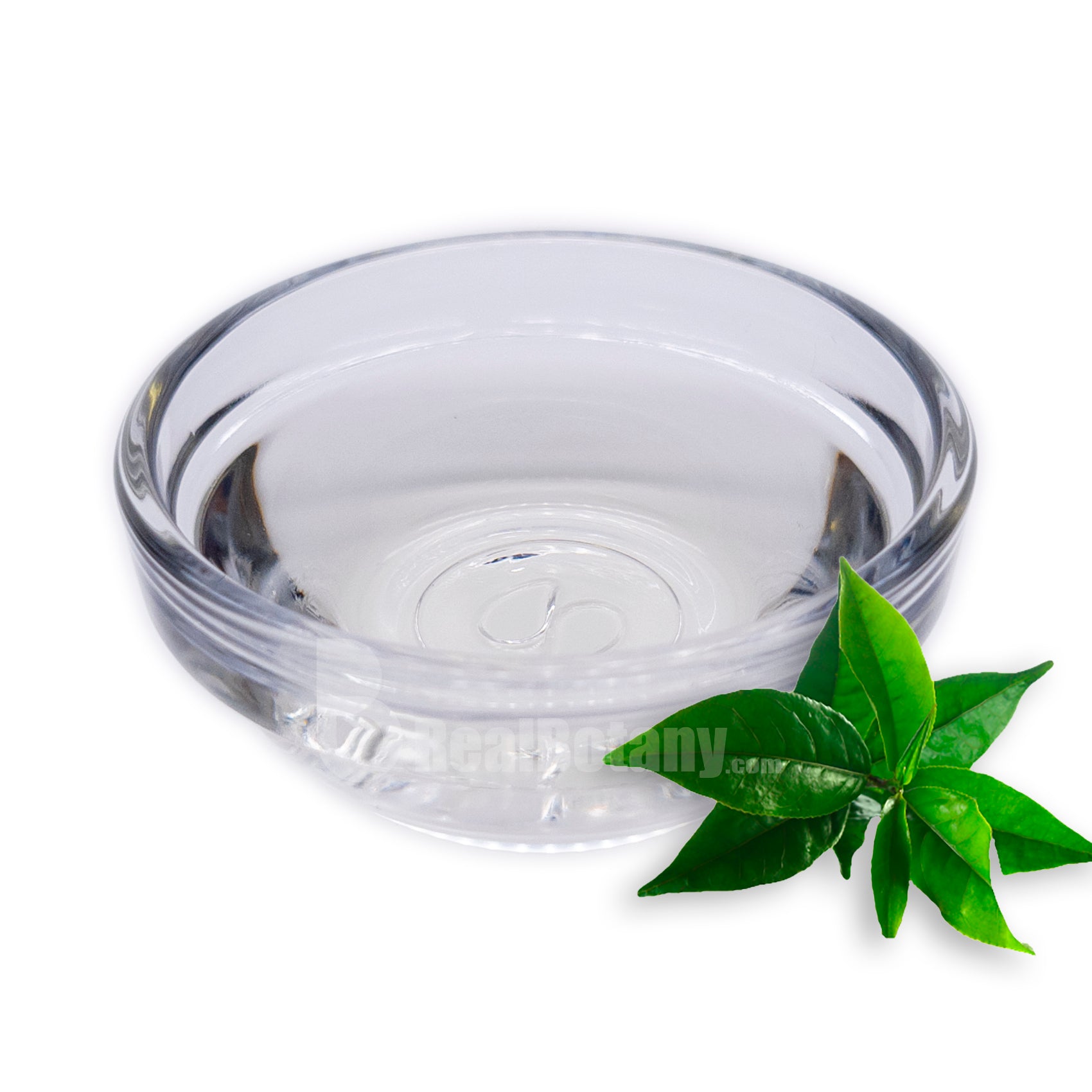 Tee Tree Therapeutic Hydrosol Alcohol Free
